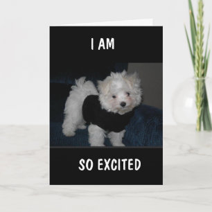 PUP EXCITÉ VOUS ENVOIE UNE Carte *9ème ANNIVERSAIR