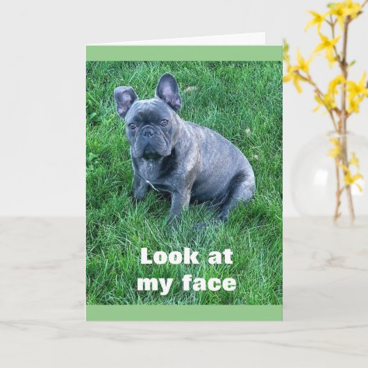 PUP HELPS ZEGGEN **HAPPY BIRTHDAY TWIN* KAART (Gele Bloem)