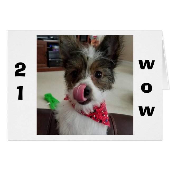 PUP IS ZO MOGELIJK VOOR U TIJDENS "21" (Voorkant Horizontaal)