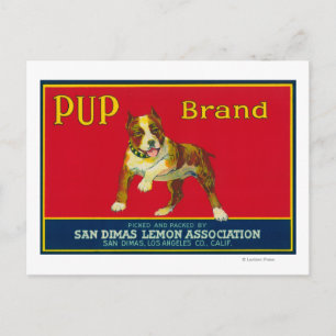 Pup Lemon LabelSan Dimas, CA Briefkaart