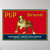Pup Lemon LabelSan Dimas, CA Poster (Voorkant)