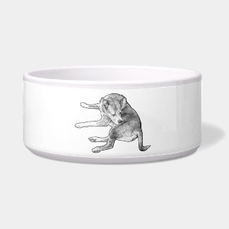 Pup Maaltijd Pret Voerbakje