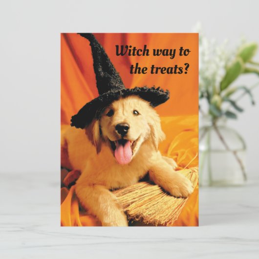 Pup met heksenhoed en bezem kaart (Staand voorkant)