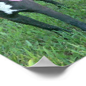 Pup Pup Laughing Poster (Hoek)