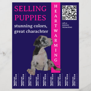Pup te koop flyer