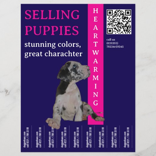 Pup te koop flyer (Voorkant)