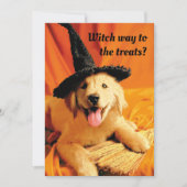 Pup with heks Pet and Broom Kaart (Voorkant)