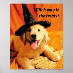 Pup with heks Pet and Broom Poster