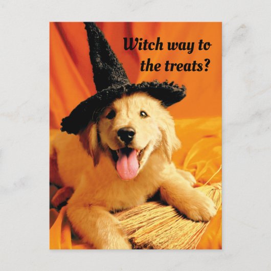 Pup with heks Pet and Broom Uitnodiging Briefkaart (Voorkant)