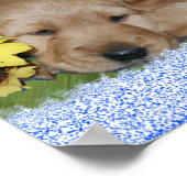 PUPIES ET FLEURS - POSTER DE RÉCUPÉRATION EN OR (Coin)