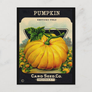  puplijnzaadje briefkaart