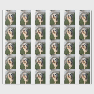 Pupper Socks Cadeaupapier