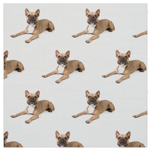 Puppie Stof (Swatch)