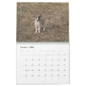 puppies 1-2 van Silken Windhound 2014 Kalender (Jan 2026)