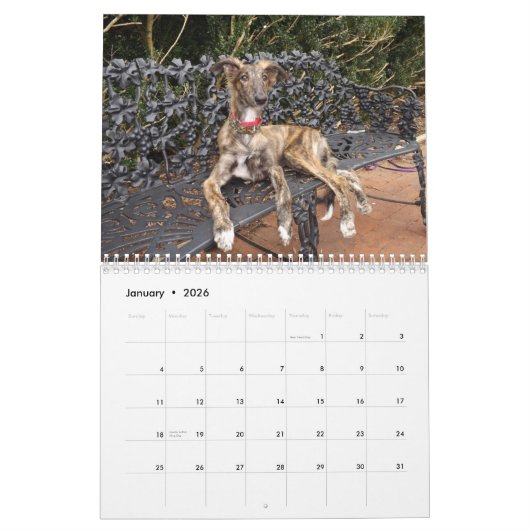 puppies 2-4 van Silken Windhound 2014 Kalender (Jan 2026)