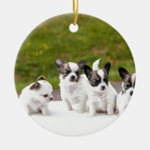 puppies-453532.jpg keramisch ornament