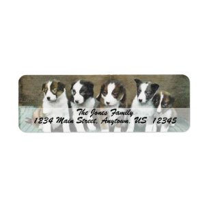  PUPPIES Aangepaste Adresetiketten Etiket