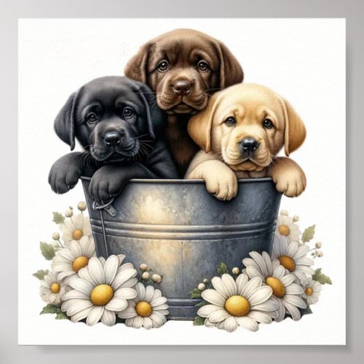 Puppies Adorables Dans Un Pot Fleur Pot Pot Poster (Devant)