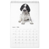 Puppies Agenda 2017 Kalender (Mar 2026)