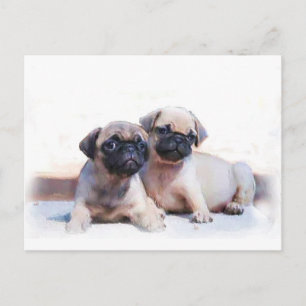 Puppies Briefkaart