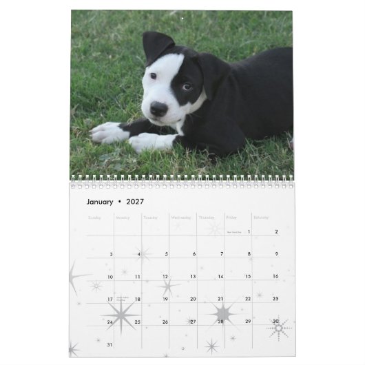 puppies Calender 2009 Kalender (Jan 2027)