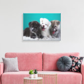 Puppies Canvas Afdruk (Insitu (Woonkamer))
