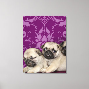 Puppies Canvas Afdruk