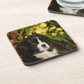 Puppies Drankjes Onderzetter (Linkerzijde)