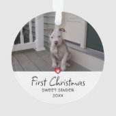 Puppies eerste kerstfoto ornament (achterkant)