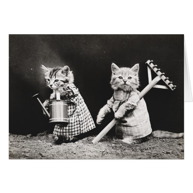  Puppies en Kittens Note Cards (Voorkant Horizontaal)