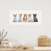 Puppies en Kittens - Poster - srf (Keuken)