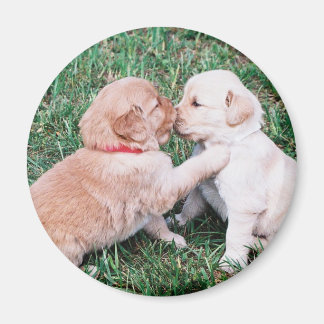 Puppies Kissing Magnet
