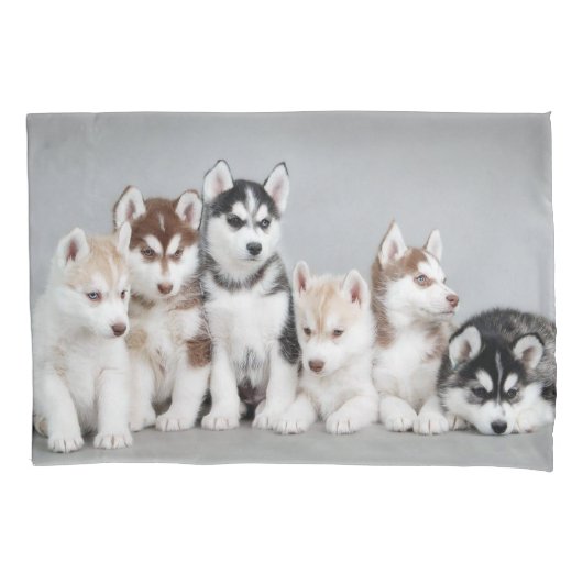 Puppies Kussensloop (Voorkant)