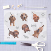 Puppies met de rode chocolade dachshund-appel tissuepapier (Craft)