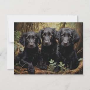 Puppies met platte coating briefkaart