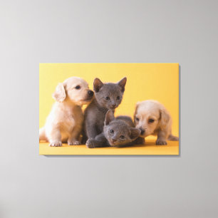 Puppies met Russische blauwe kittens en dachshund Canvas Afdruk