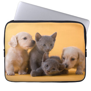 Puppies met Russische blauwe kittens en dachshund Laptop Sleeve