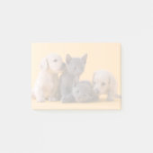 Puppies met Russische blauwe kittens en dachshund Post-it® Notes (Voorkant)