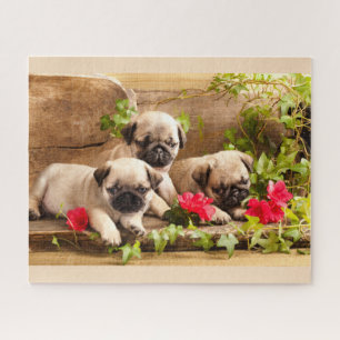 Puppies onder bloemen puzzel