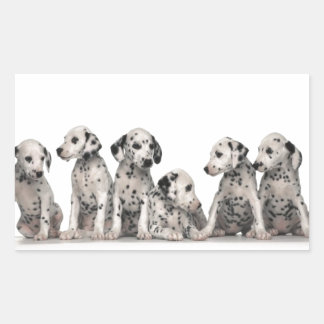 puppies puppies honden honden met een schattige da rechthoekige sticker
