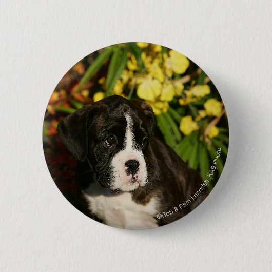 Puppies Ronde Button 5,7 Cm (Voorkant)
