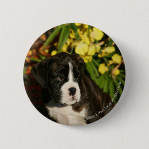 Puppies Ronde Button 5,7 Cm
