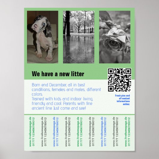 puppies te koop flyer met QR code Poster (Voorkant)