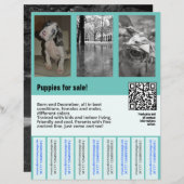 puppies te koop flyer sjabloon QR code (Voorkant / Achterkant)