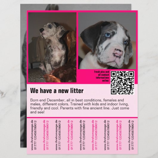 puppies te koop flyer sjabloon QR code (Voorkant / Achterkant)