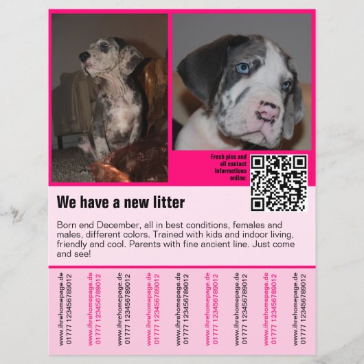 puppies te koop flyer sjabloon QR code (Voorkant)