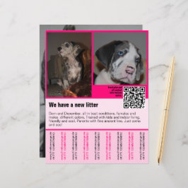 puppies te koop flyer sjabloon QR code