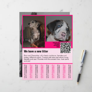 puppies te koop flyer sjabloon QR code