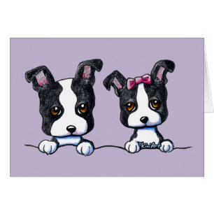 Puppies van Boston Terrier