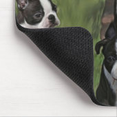 Puppies van Boston Terrier Muismat (Hoek)